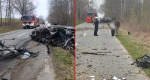 Audi z impetem uderzyło w drzewo. Kierowca zginął na miejscu