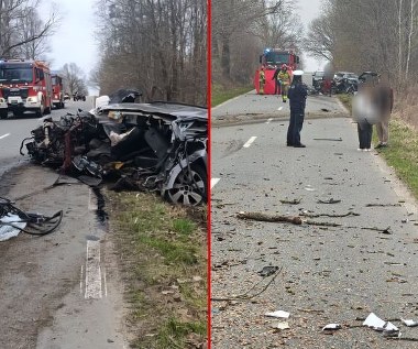 Audi z impetem uderzyło w drzewo. Kierowca zginął na miejscu