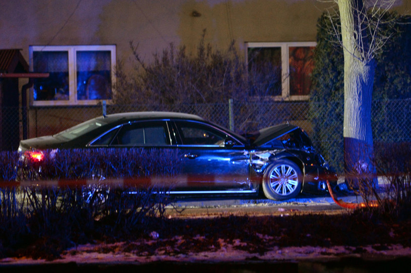 Audi zatrzymało się na drzewie, ochroniarz i Beata Szydło zostali ranni /Łukasz Kalinowski /East News