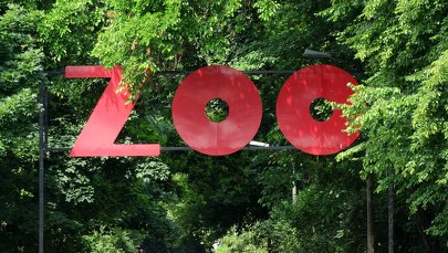 Audioprzewodnik dla dzieci niewidomych. Wkrótce w warszawskim ZOO
