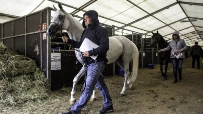 Aukcja Pride of Poland jednak się odbędzie