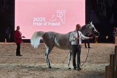 Aukcja Pride of Poland