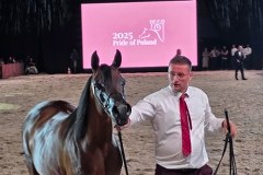 Aukcja Pride of Poland