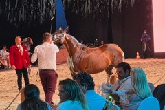 Aukcja Pride of Poland