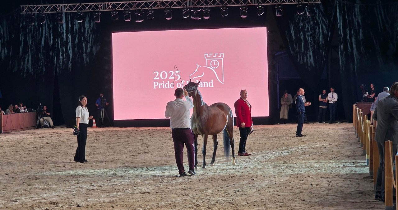 Aukcja Pride of Poland