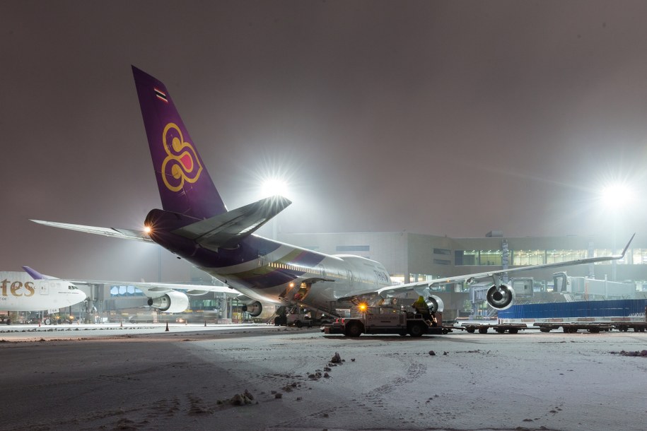 Aukcja sprzedaży lotniska Domodiedowo unieważniona. Kim jest Bogatyj? /Shutterstock