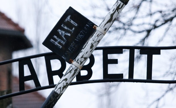 Auschwitz w popularnych powieściach. Ile prawdy, a ile uproszczeń i bzdur?