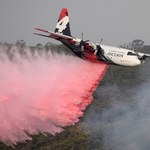 Australia płonie: Lewica apeluje o wysłanie polskich strażaków