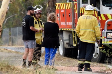 Australia płonie. Spędzili 6 dni w kinie, czekając na pomoc. Oglądali… "Krainę lodu"