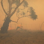 Australia: To koniec "czarnego lata"? Opanowano wszystkie pożary w Nowej Południowej Walii