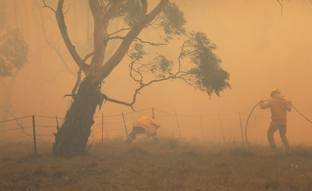 Australia: To koniec "czarnego lata"? Opanowano wszystkie pożary w Nowej Południowej Walii