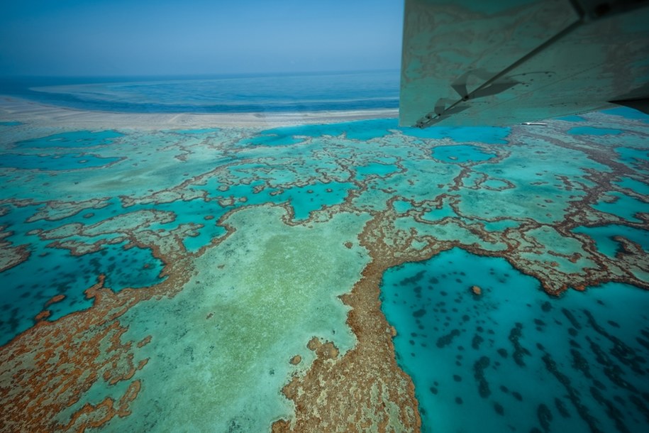 Australia. Wielka Rafa Koralowa. Queensland /Shutterstock