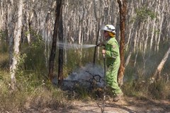 Australia: Władze zarządziły ewakuację w związku z pożarami buszu