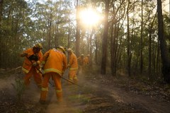 Australia: Władze zarządziły ewakuację w związku z pożarami buszu