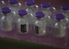 ​Australia zakupiła w Polsce 1 mln dawek szczepionki Pfizera