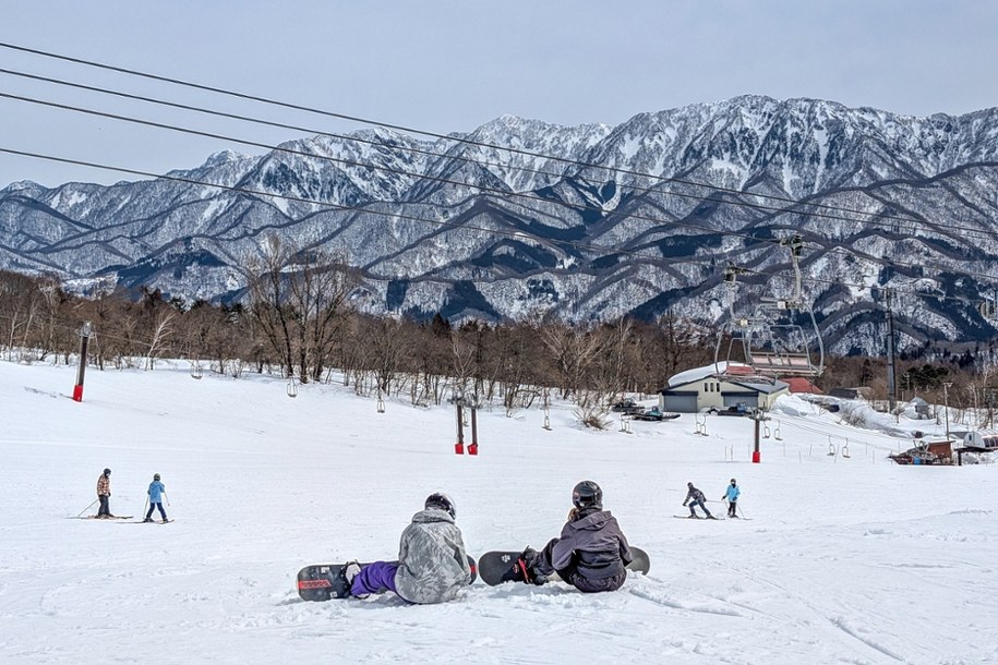 Australijka w wyniku stresu doznała zawału serca i została przewieziona do szpitala. Tam stwierdzono jej zgon. /Shutterstock