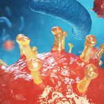 ​Australijscy naukowcy: Szczepionka przeciwko gruźlicy może zapewnić ochronę przed koronawirusem