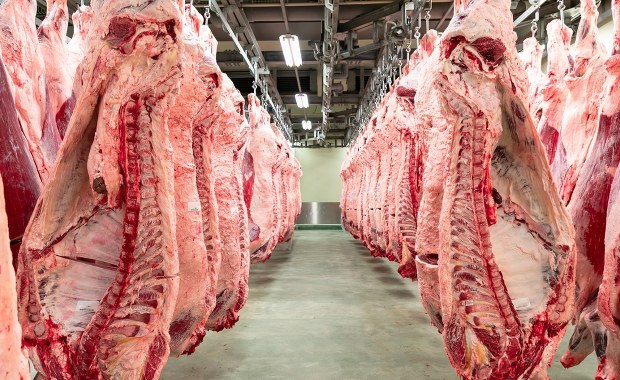 Australijska wołowina popłynie do Europy. Polski resort rolnictwa alarmuje