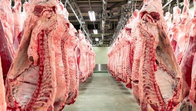 Australijska wołowina popłynie do Europy. Polski resort rolnictwa alarmuje