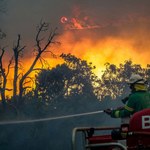 Australijskie megapożary naruszyły warstwę ozonową. Tarcza ziemi jest uszkodzona