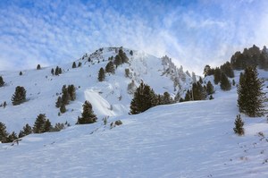 Austria: Śmiertelny wypadek w Alpach. Freeridera zasypała lawina