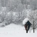 Austria: Wyjątkowo obfite opady śniegu