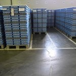 Austria: Wykryto skażenie produktów jajecznych fipronilem