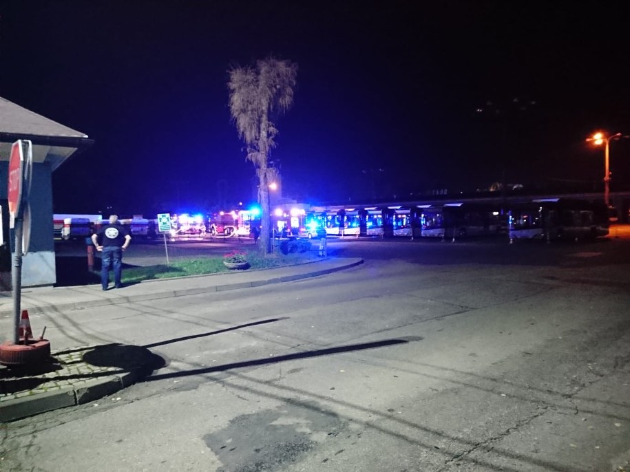 Auta stały na parkingu PKS /Państwowa Straż Pożarna