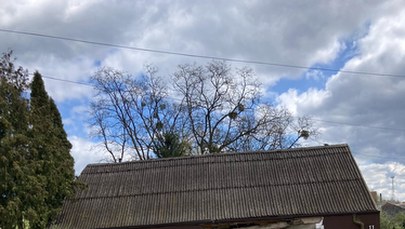 ​Auto ciężarowe uderzyło w dom