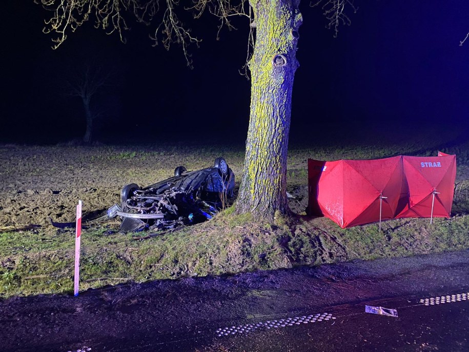 Auto, którym jechali nastolatkowie /KW PSP Gdańsk /Państwowa Straż Pożarna