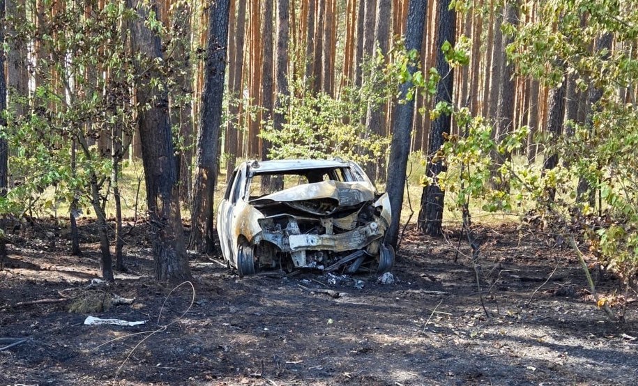 Auto, którym jechały trzy osoby, spłonęło /KPP Krosno Odrzańskie /Policja