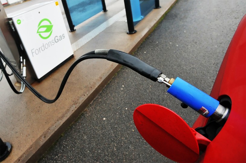 Auto na biogaz bardziej "eko" niż elektryczne? Nowe badanie stawia sprawę jasno /Wojciech Strozyk/REPORTER /East News