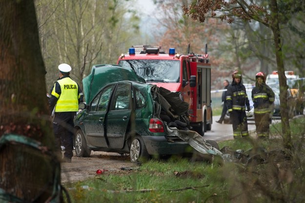 Auto na łuku wypadło z drogi i uderzyło bokiem w drzewo /Tytus Żmijewski /PAP