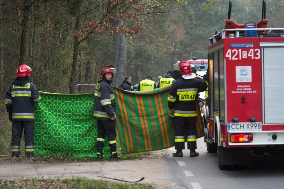 Auto na łuku wypadło z drogi i uderzyło bokiem w drzewo /Tytus Żmijewski /PAP