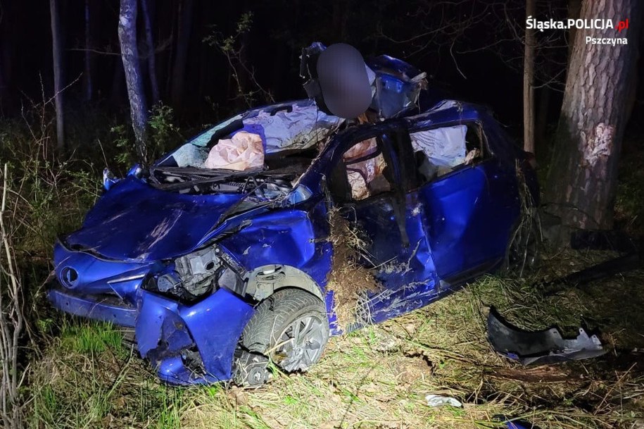 Auto rozbite po zderzeniu z łosiem /Policja Śląska /Policja