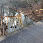 Auto spadło z mostu do rzeki. Świadkowie ruszyli na pomoc