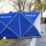 Auto uderzyło w drzewo. Tragiczny wypadek młodego kierowcy