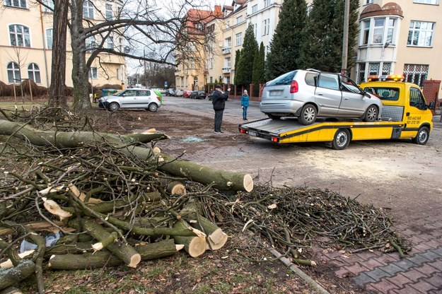 Auto uszkodzone przez powalone drzewo we Wrocławiu /PAP/Maciej Kulczyński  /PAP