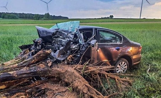 Auto wyrwało drzewo z korzeniami. Młody kierowca nie miał szans