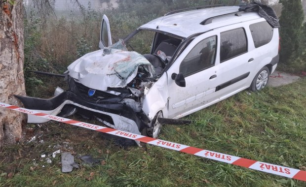 Auto z Gruzinami rozbite o drzewo. 7 osób w szpitalach