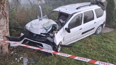 Auto z Gruzinami rozbite o drzewo. 7 osób w szpitalach