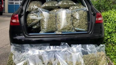 Auto zapakowane marihuaną po dach. Wśród dilerów student akademii policyjnej 