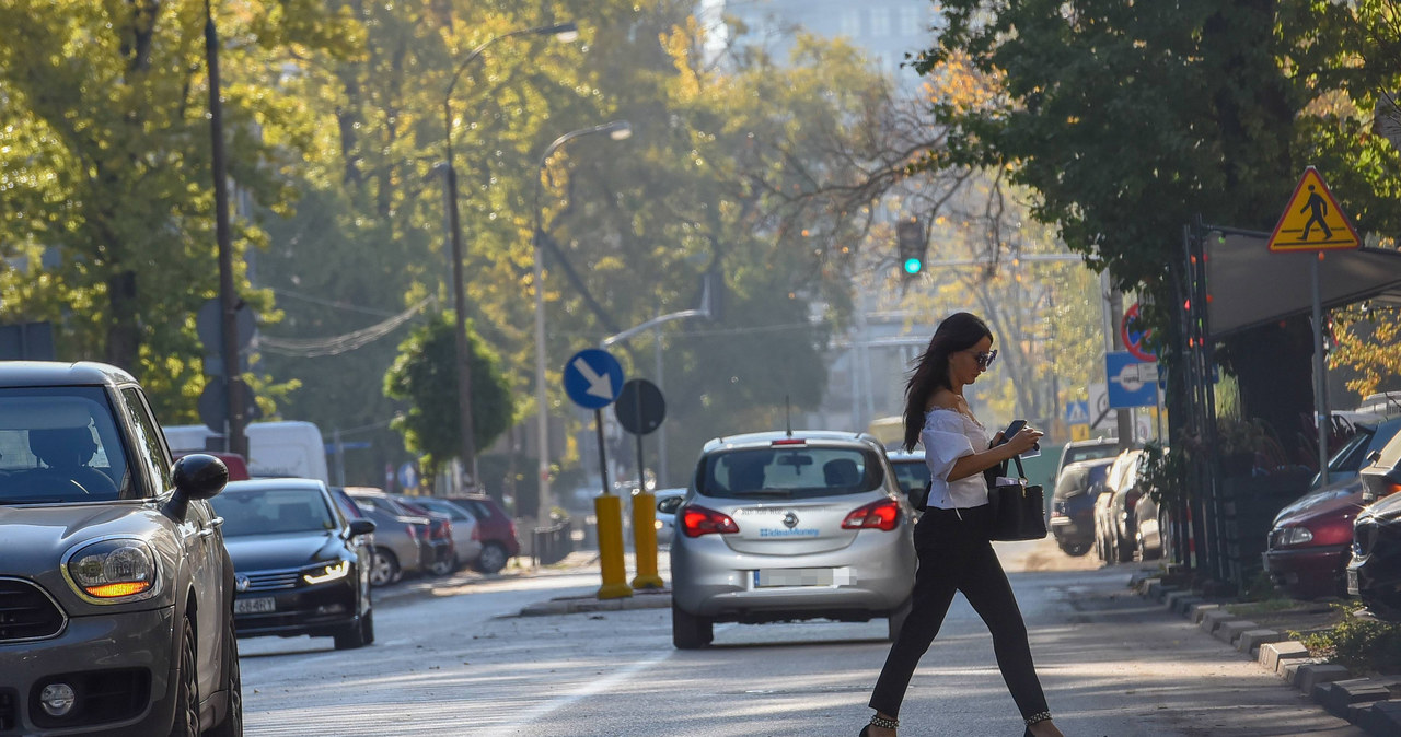 Auto "zaparkowane", więc można iść na spotkanie /Newspix