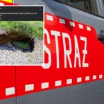 górnictwo Auto zawisło nad dziurą. Zapadlisko w Konradowie
