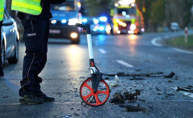 Auto zderzyło się z łosiem. Kierowca nie żyje 