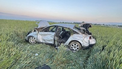 Auto zmasakrowane, a kierowca spał pijany niedaleko wraku