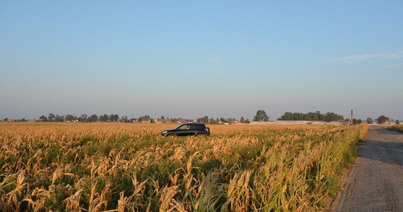 Auto znajdowało się na polu /Informacja prasowa