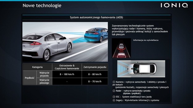 auto /INTERIA.PL