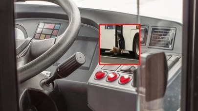 Autobus ciągnął zakleszczonego 12-latka przez 350 metrów. Cud, że przeżył