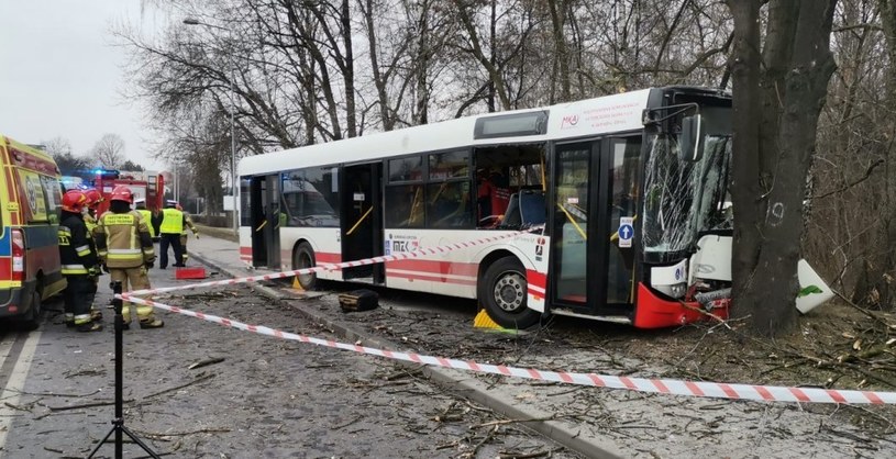 Autobus miejski wbił się w drzewo w Jastrzębiu Zdroju /Policja
